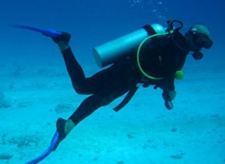 Capacitación en Plongee School 